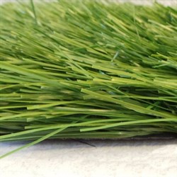 Искусственная трава для спортивных объектов DiaSport Standart М40, 4м - фото 722385