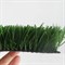 Искусственная трава для спортивных объектов DiaSport Profi М40, 4м - фото 722404